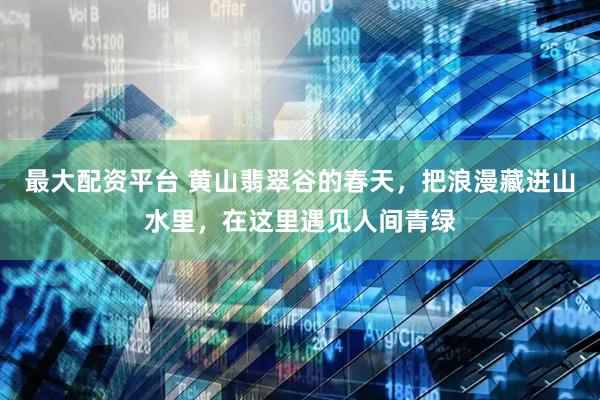 最大配资平台 黄山翡翠谷的春天，把浪漫藏进山水里，在这里遇见人间青绿