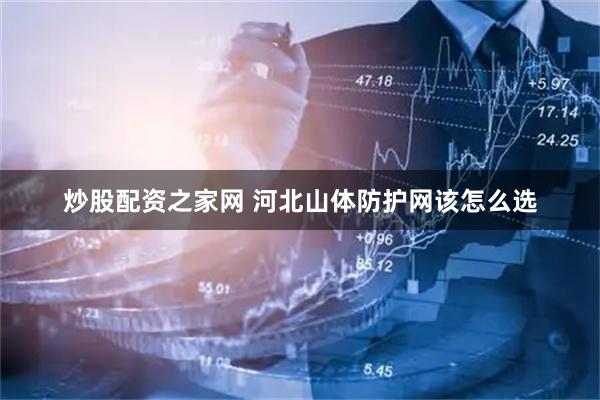 炒股配资之家网 河北山体防护网该怎么选