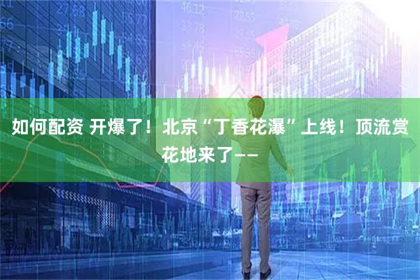 如何配资 开爆了！北京“丁香花瀑”上线！顶流赏花地来了——
